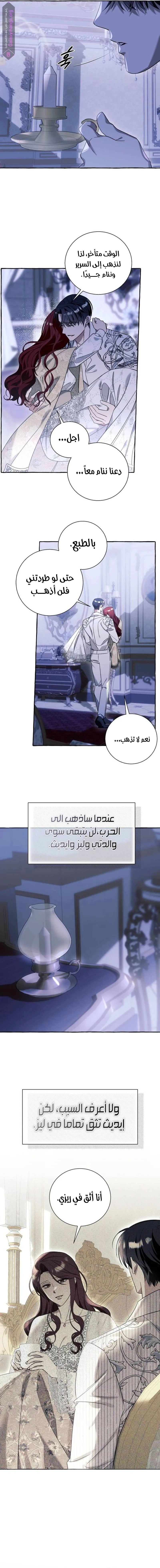 الصفحة 13