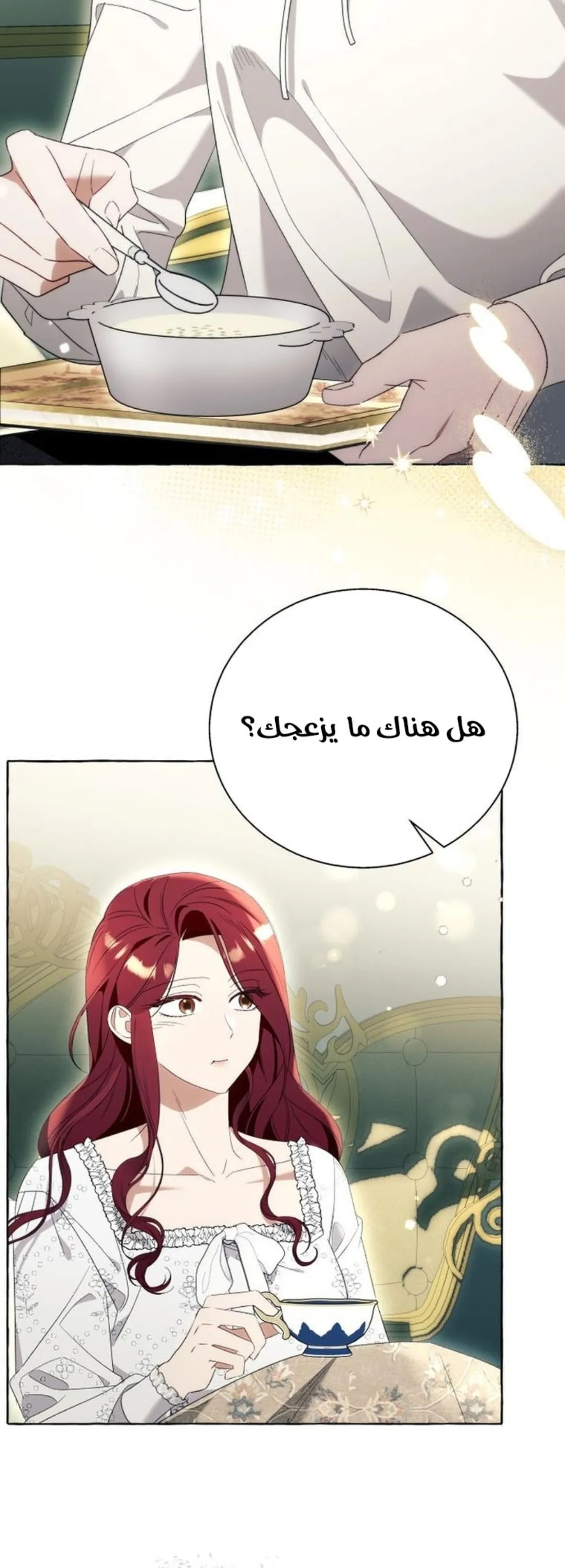 الصفحة 16