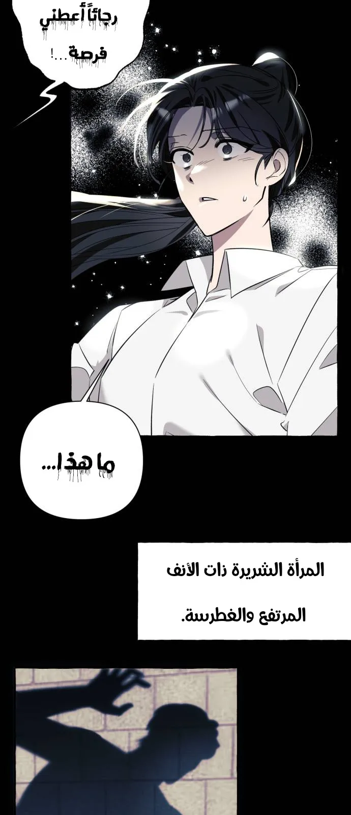الصفحة 51