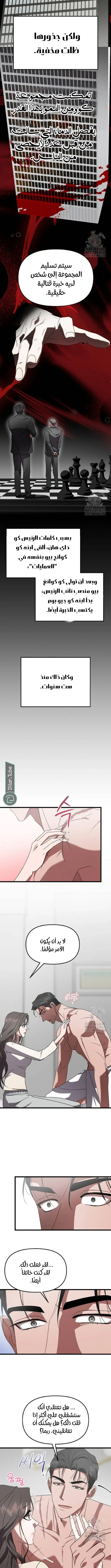 الصفحة 8