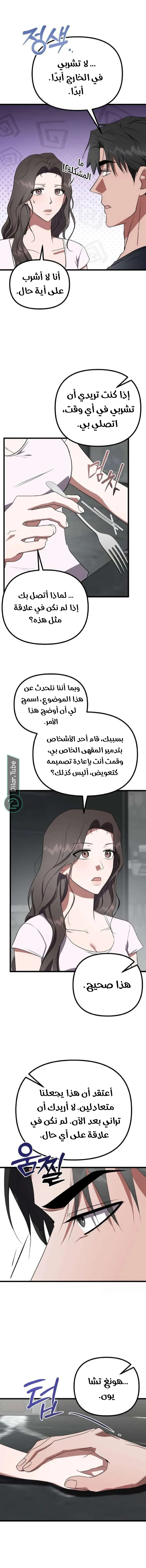 الصفحة 13