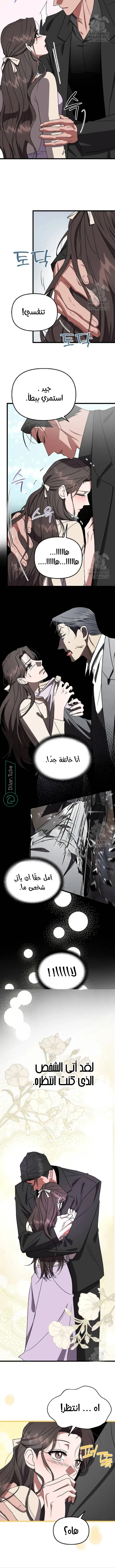 الصفحة 6