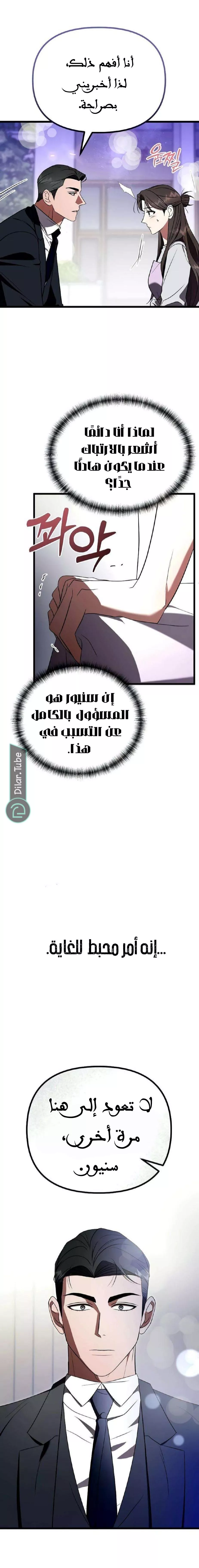 الصفحة 13