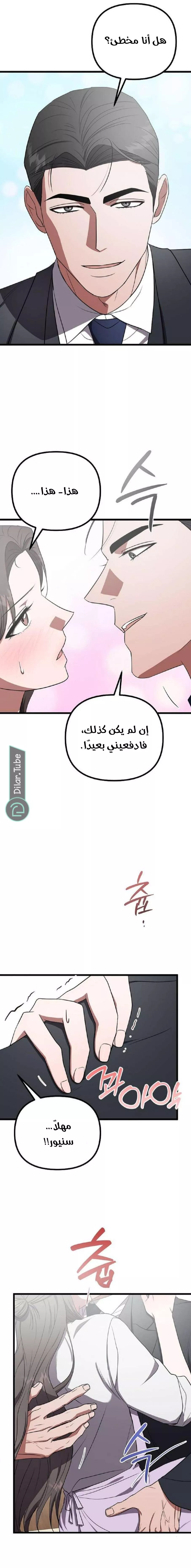 الصفحة 11