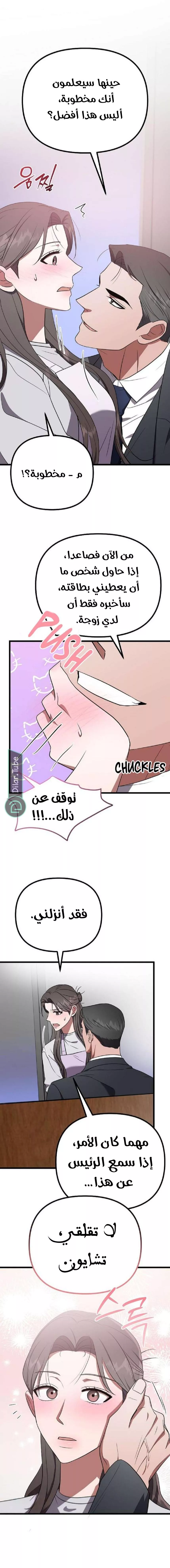 الصفحة 13