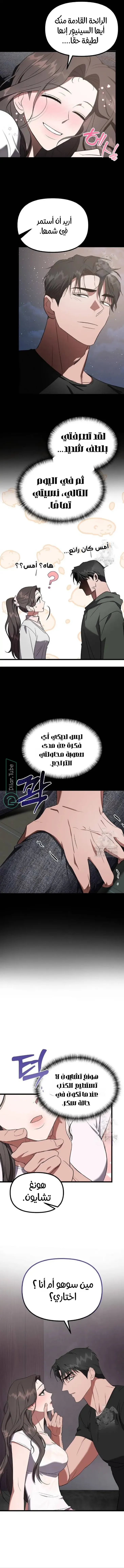 الصفحة 5