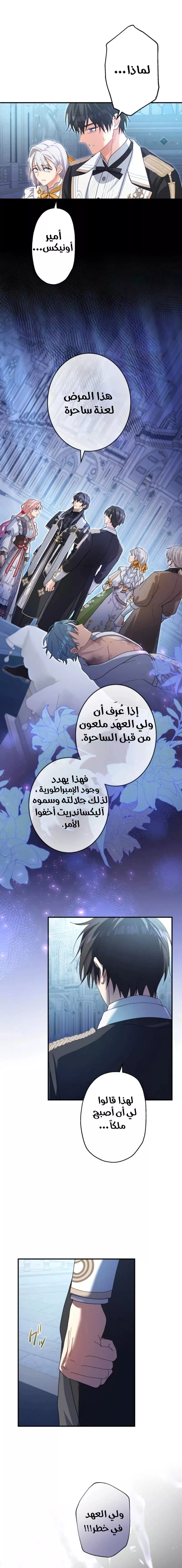 الصفحة 13