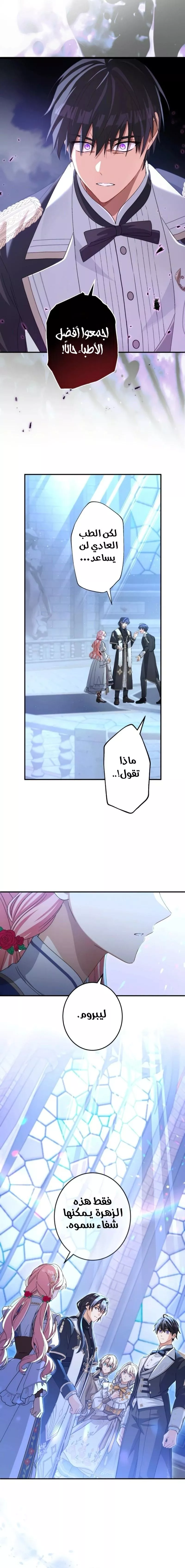 الصفحة 14