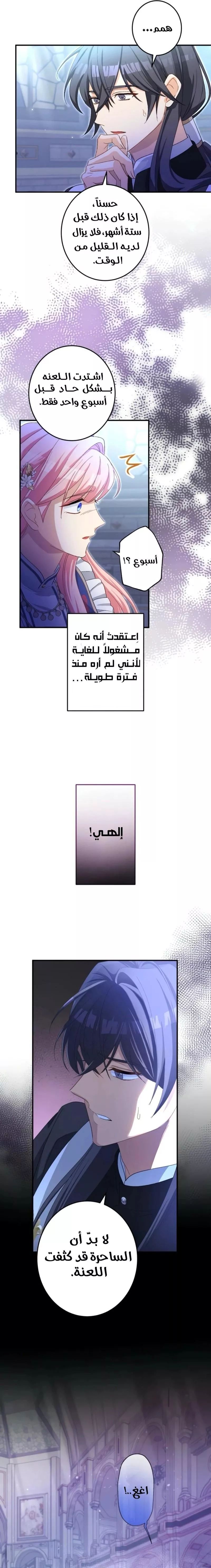 الصفحة 17