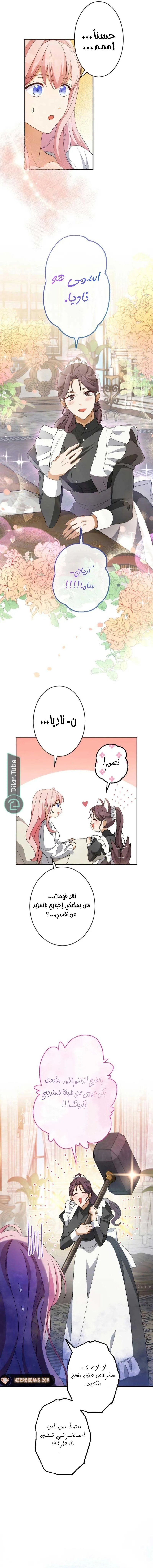الصفحة 6