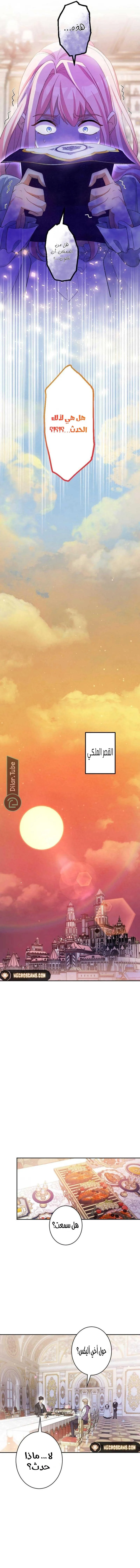 الصفحة 10