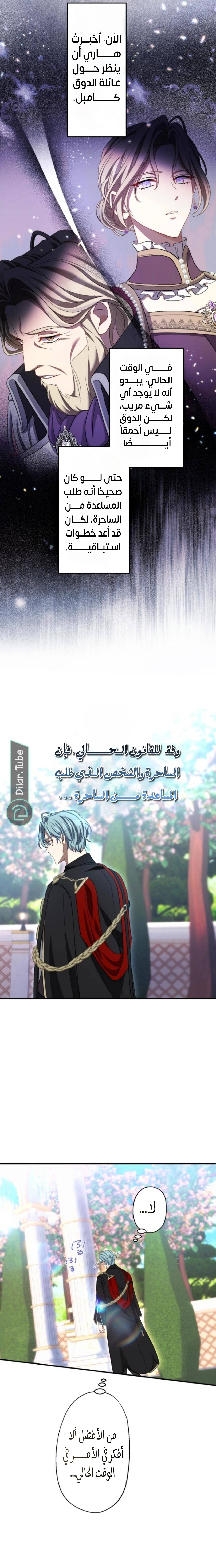 الصفحة 23