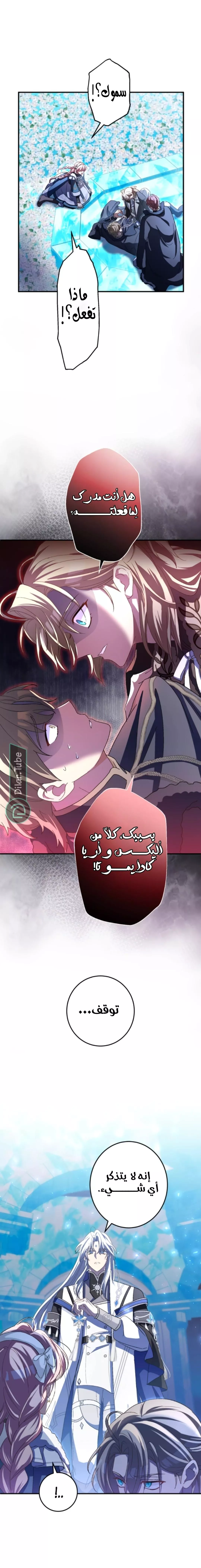 الصفحة 14