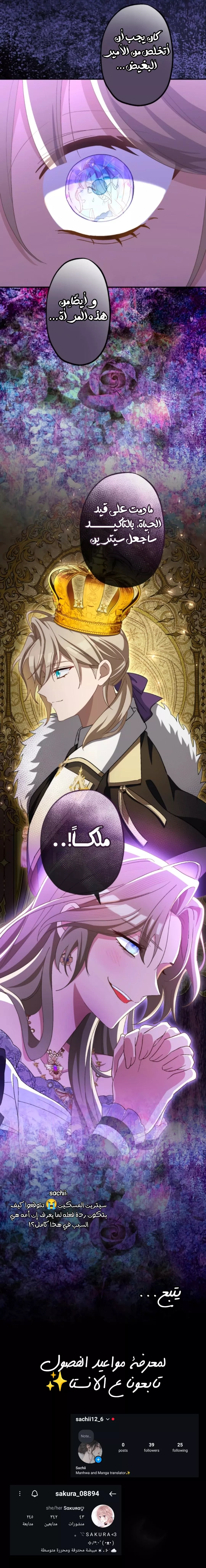 الصفحة 17