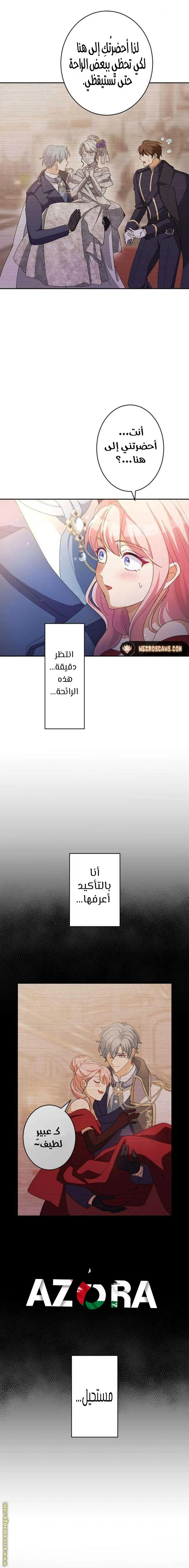 الصفحة 6
