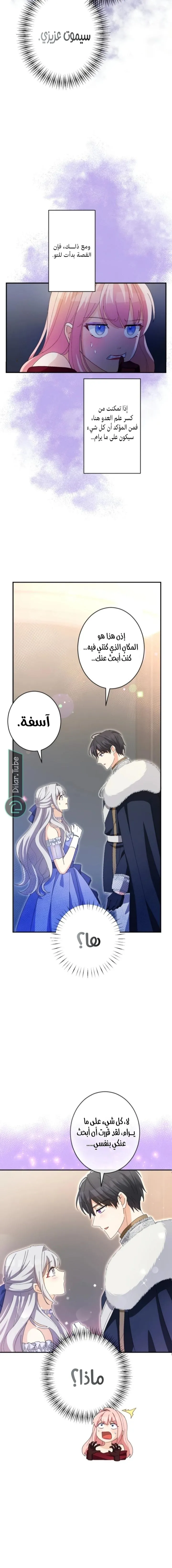 الصفحة 13