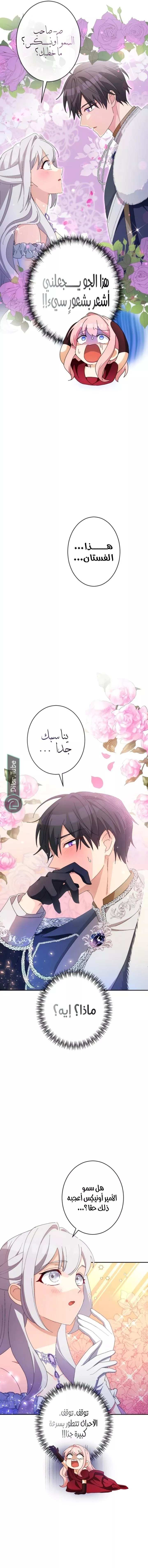 الصفحة 14