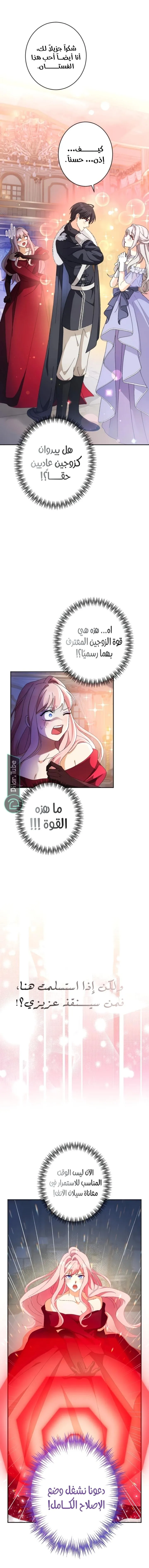 الصفحة 15