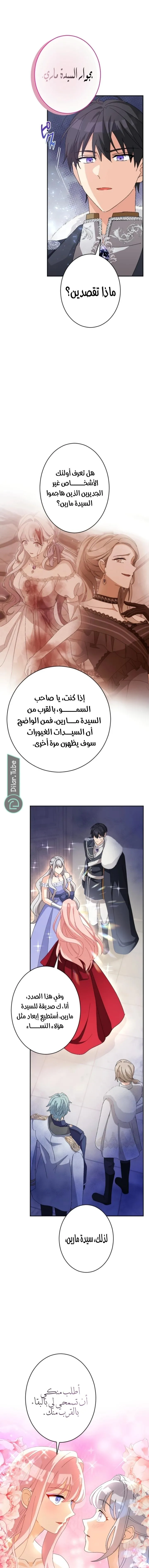 الصفحة 17