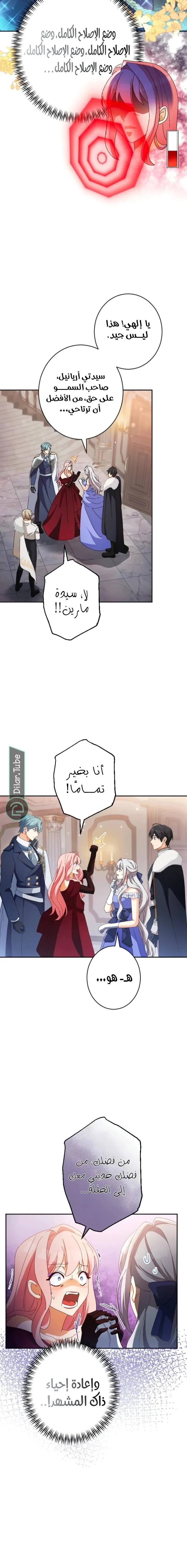 الصفحة 19