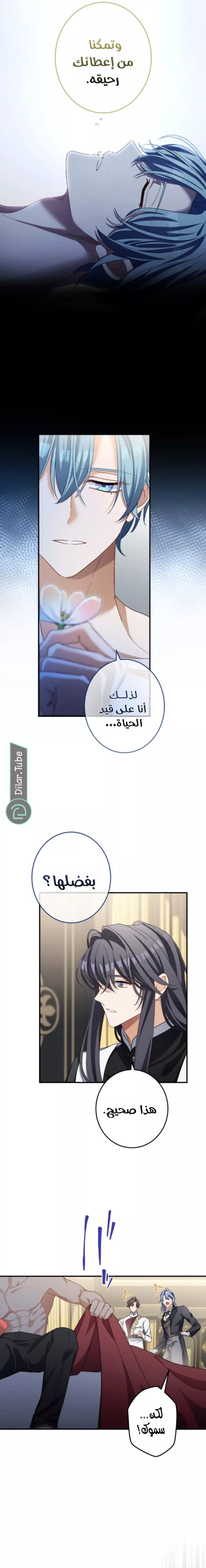 الصفحة 5