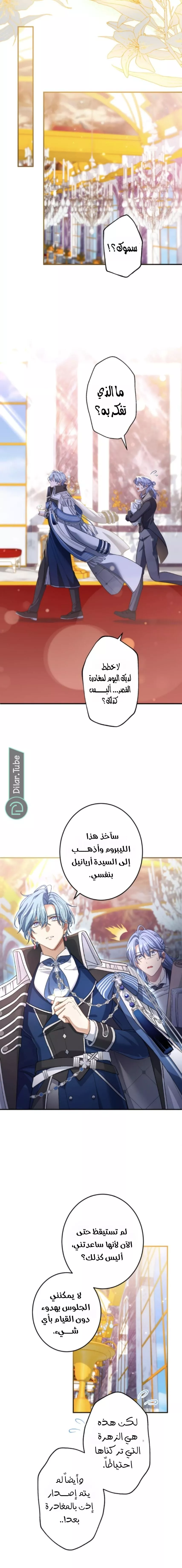 الصفحة 13