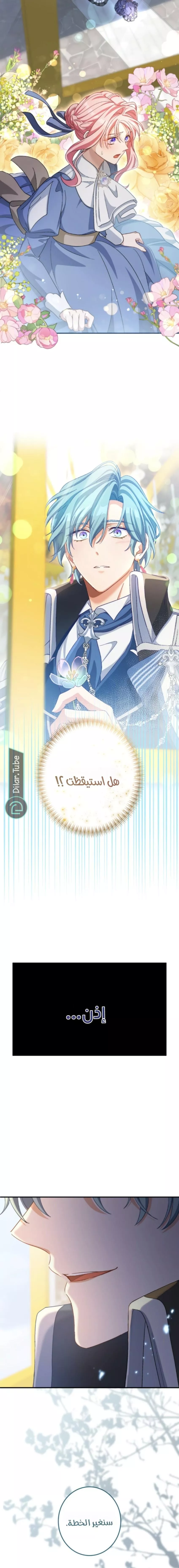 الصفحة 15