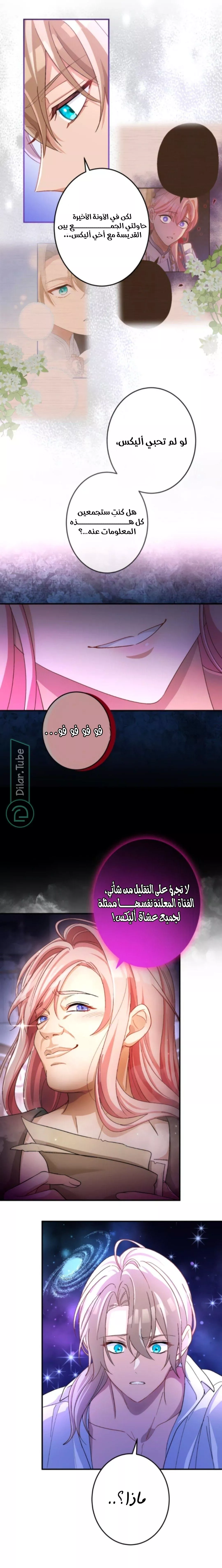 الصفحة 12
