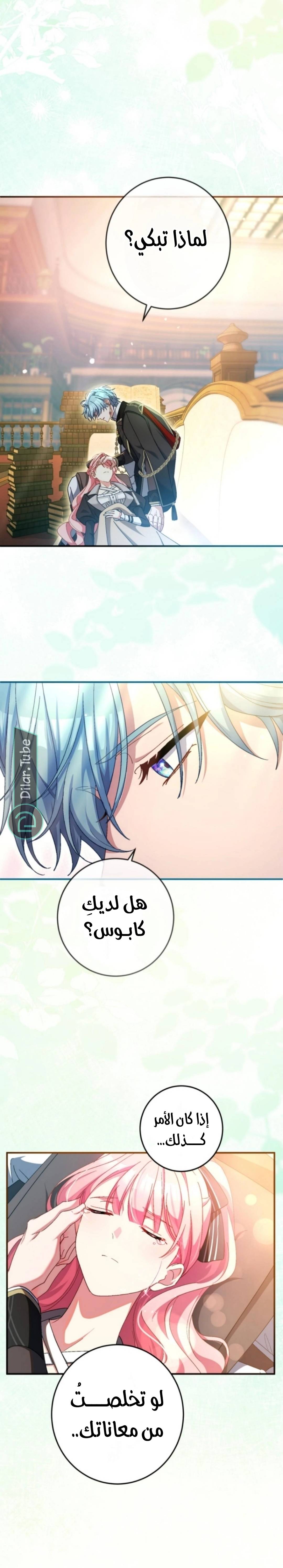 الصفحة 12