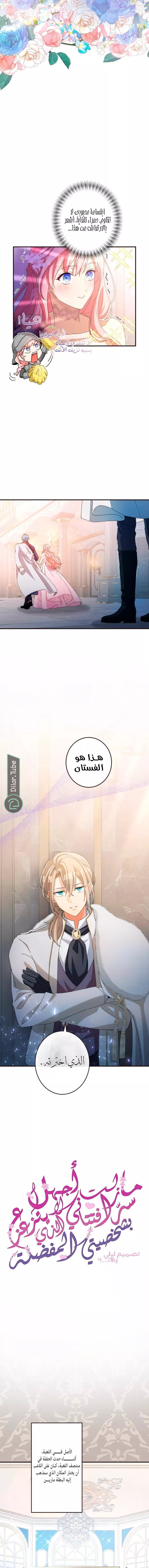 الصفحة 5