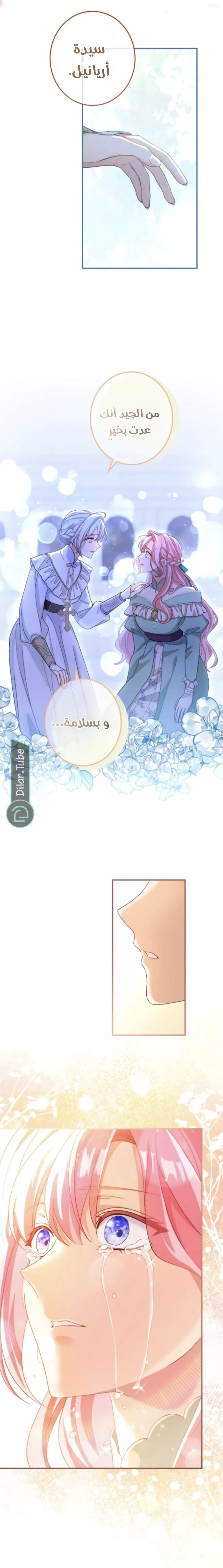 الصفحة 13