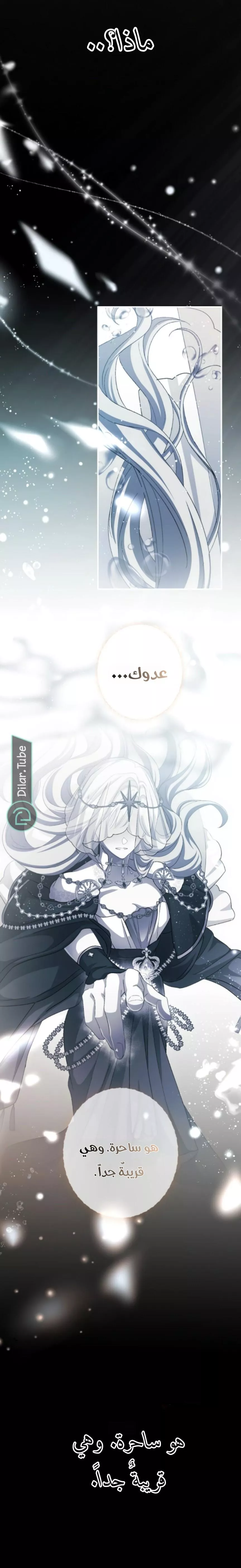 الصفحة 17