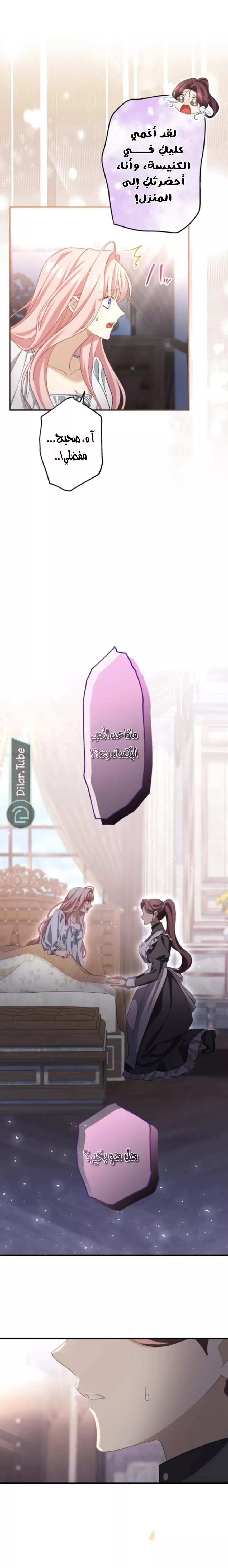 الصفحة 19