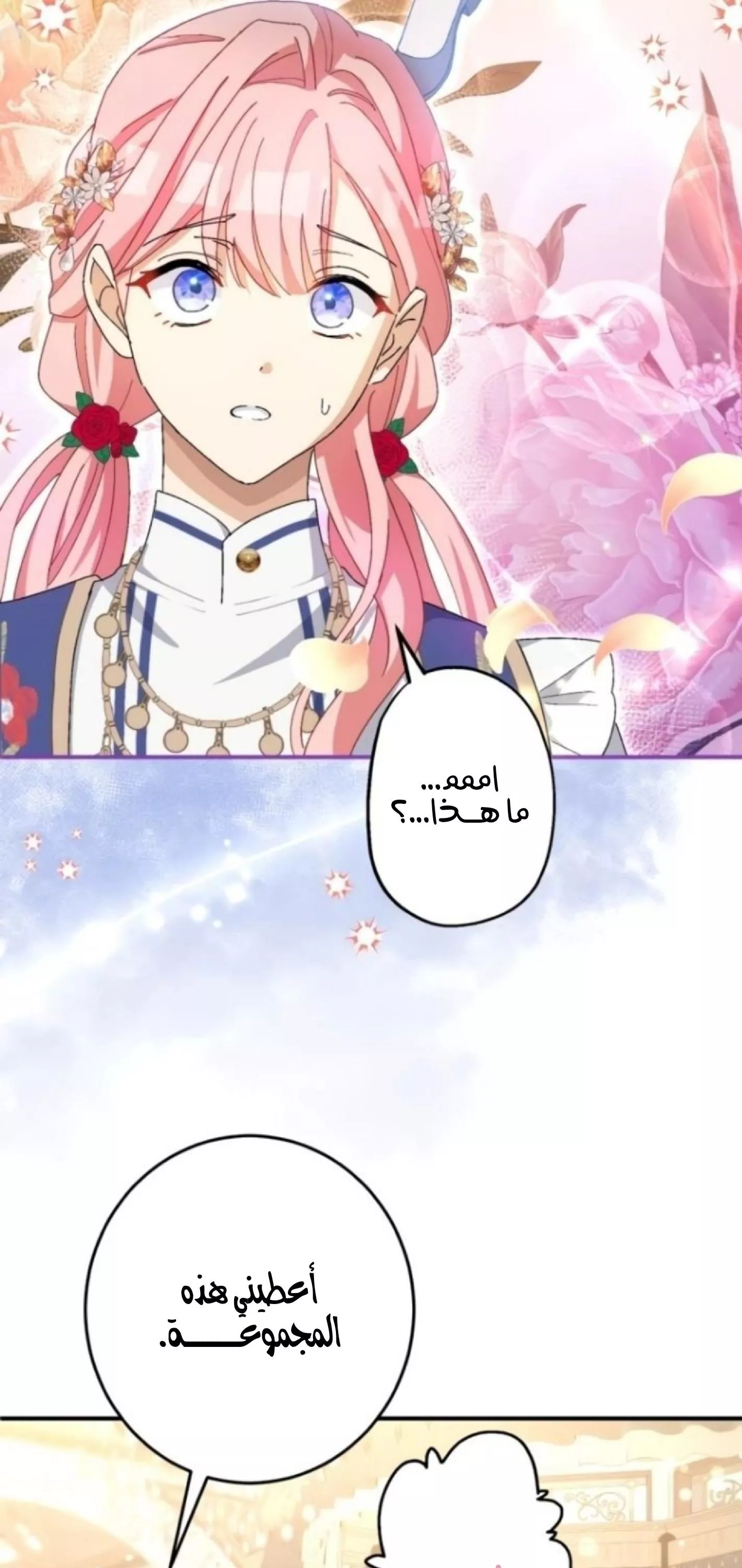 الصفحة 25