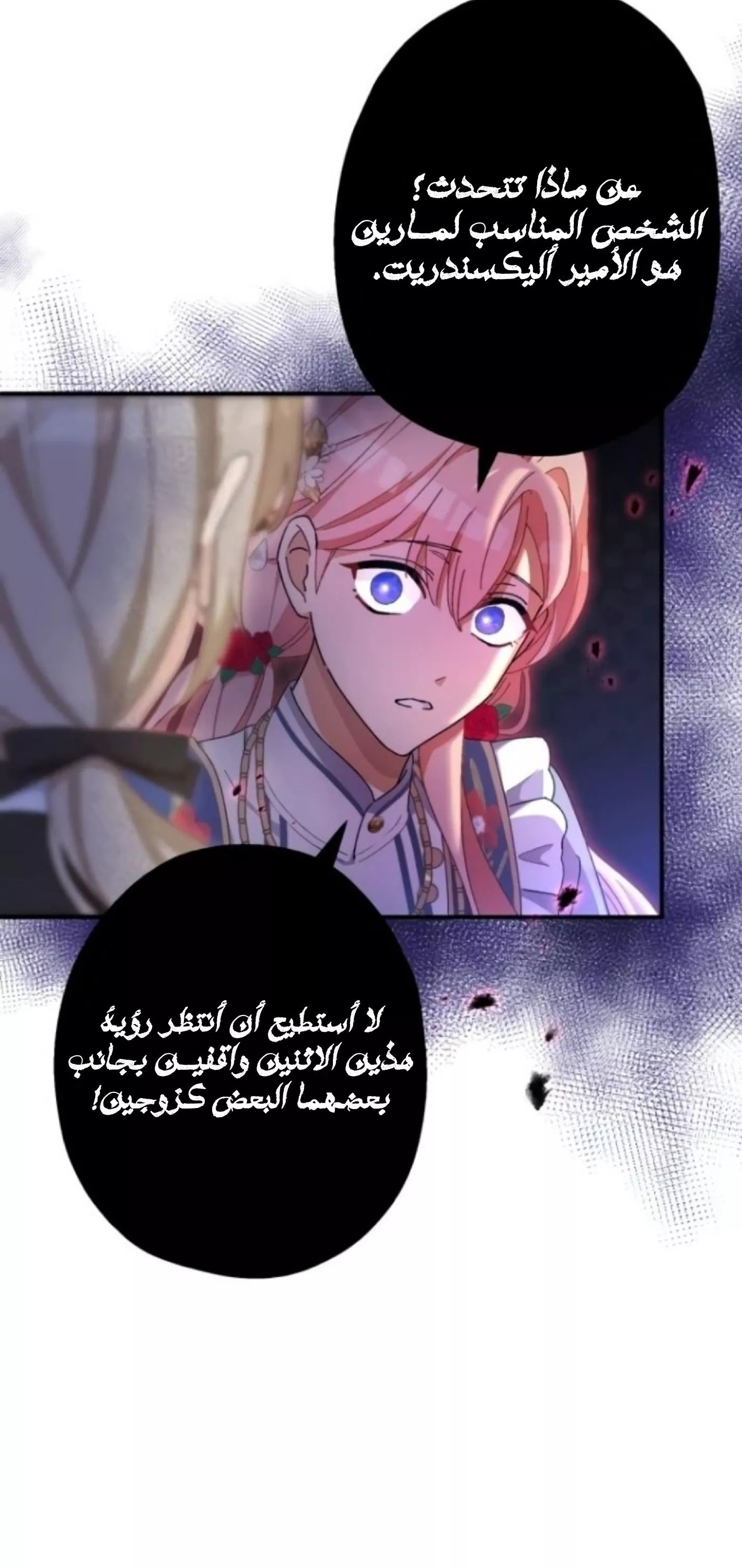 الصفحة 29