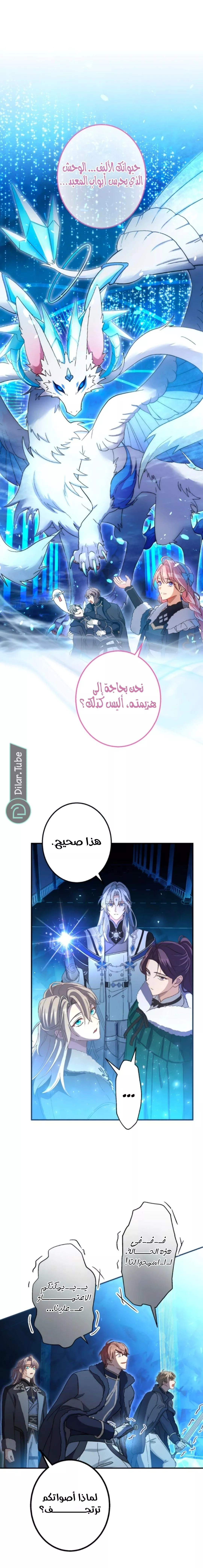 الصفحة 13