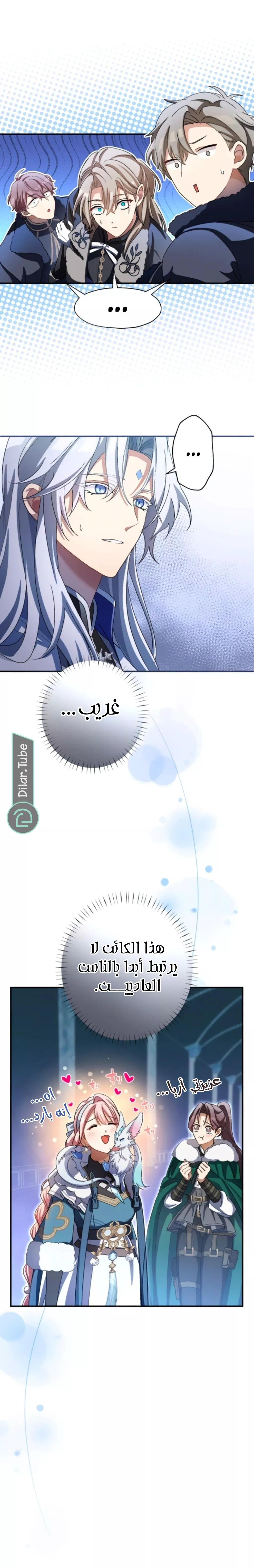 الصفحة 19