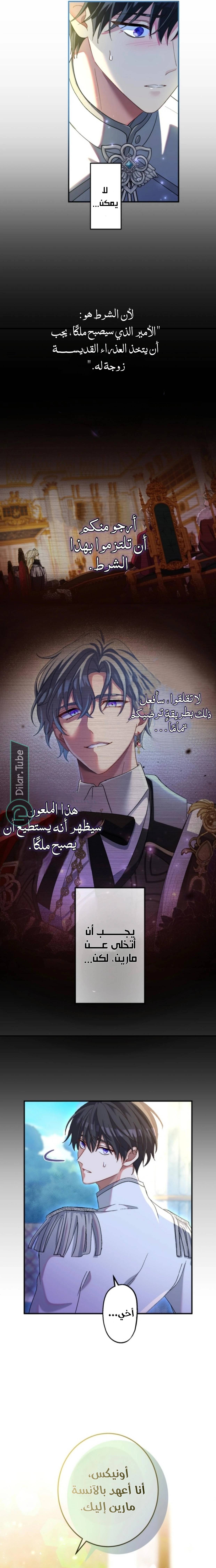الصفحة 17
