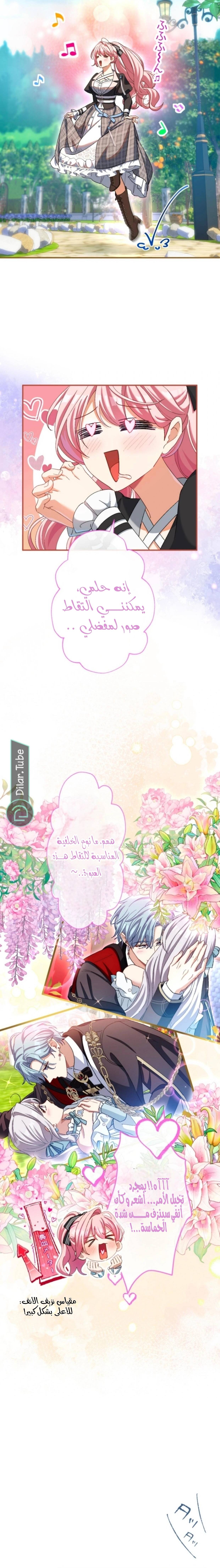 الصفحة 19
