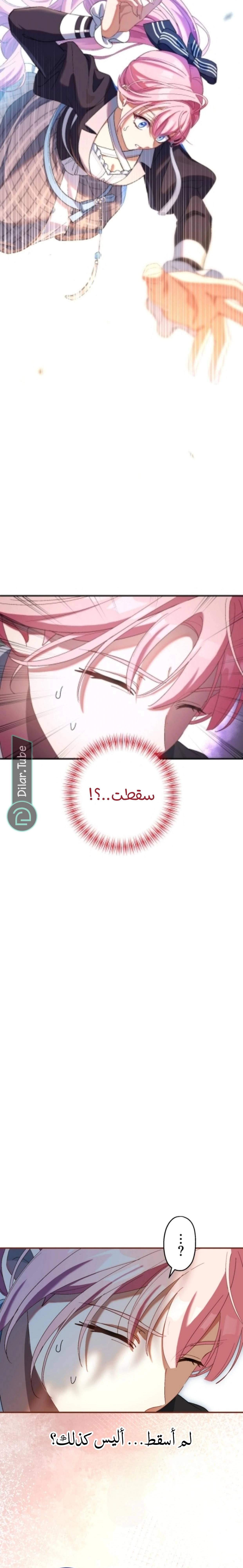 الصفحة 24