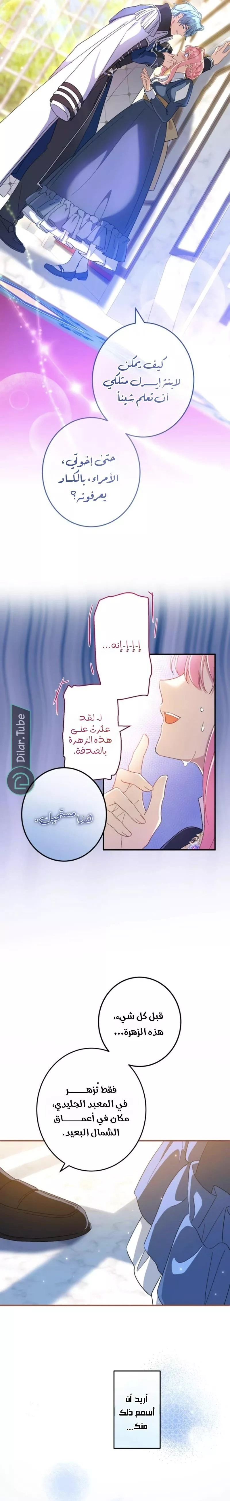 الصفحة 11