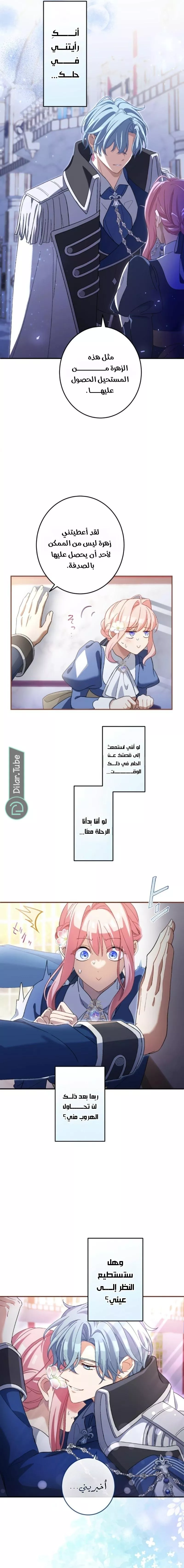 الصفحة 12