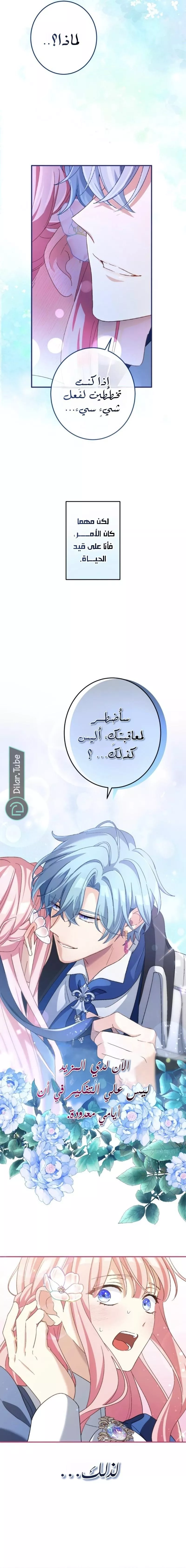 الصفحة 13