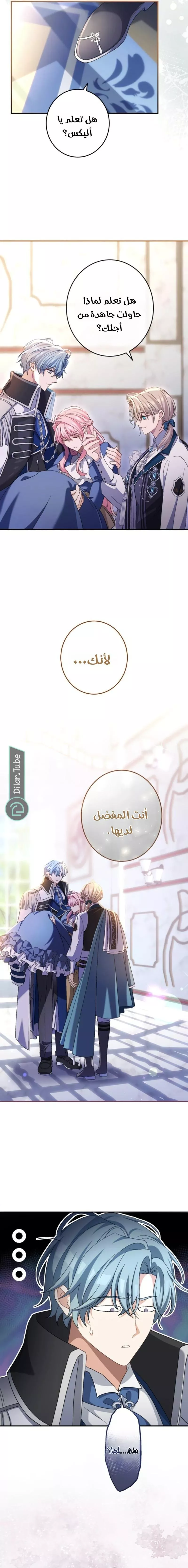 الصفحة 17