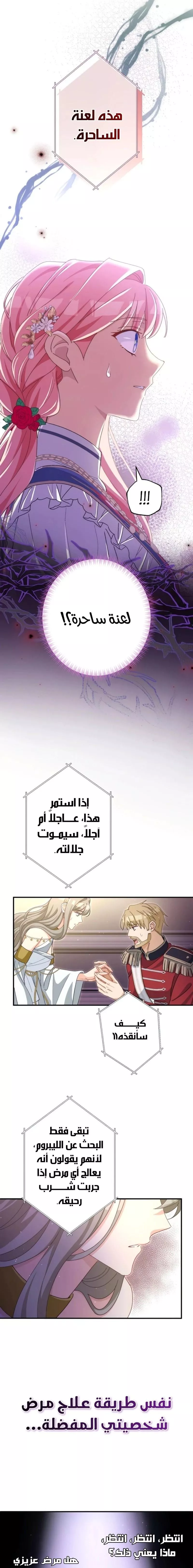 الصفحة 13