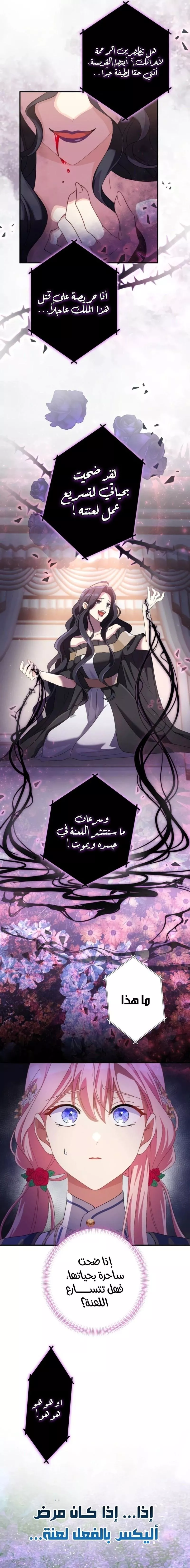 الصفحة 16