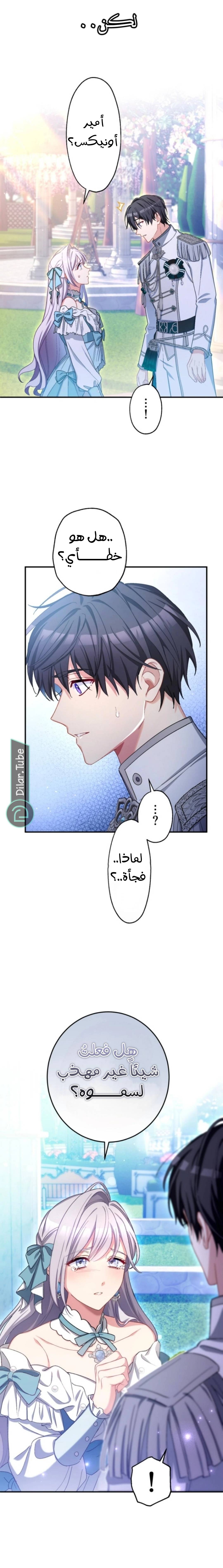 الصفحة 11