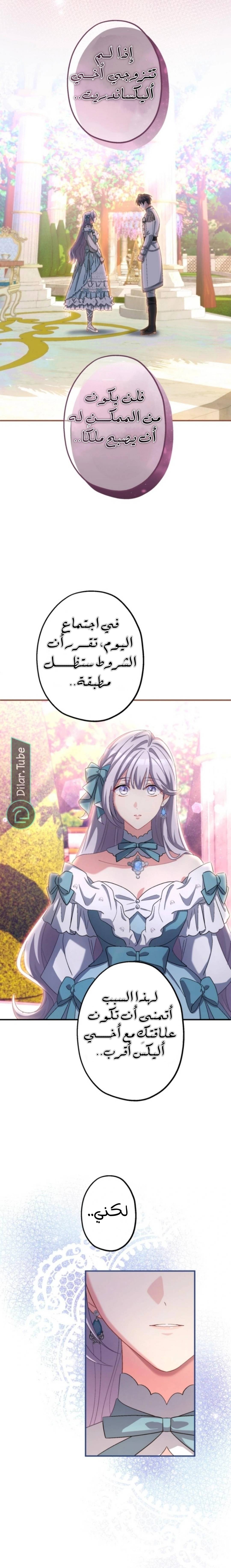 الصفحة 13