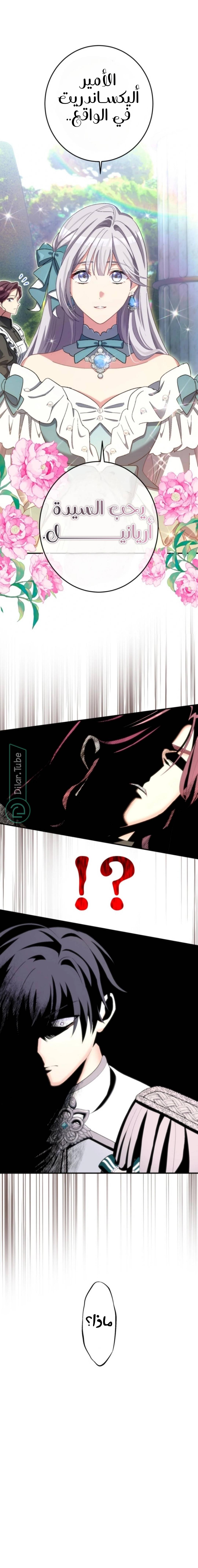 الصفحة 15