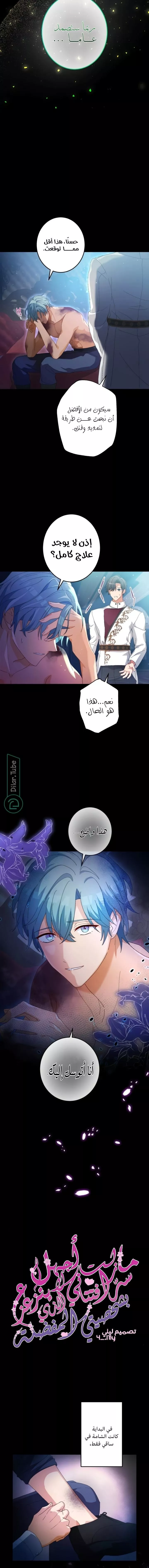 الصفحة 3